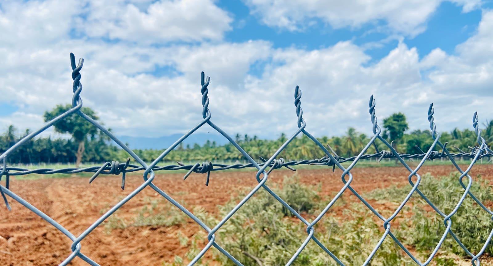 No.1 Fence galvanized chainlink fencing with barbed wire, installed on a farm boundary